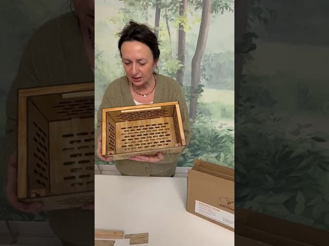 Abejas entrando y saliendo activamente de una colmena de madera natural durante la hora dorada