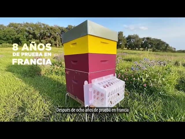 Colmena con sistema de protección ARTHAK instalado, abejas entrando y saliendo libremente